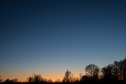 Evening Sky at Sunset and Dark Silhouettes of Tree Tops. Autumn Season. Web Banner/.