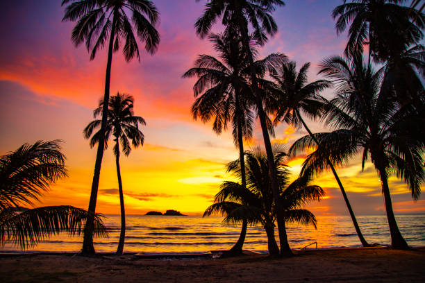 istock Klong Prao Beach during Sunset in koh Chang, Trat, Thailand 1328642707