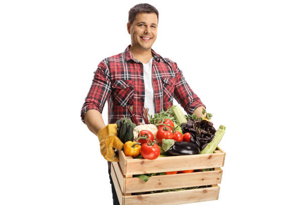 istock Farmer holding a crate with vegetables and looking at camera 1328644762
