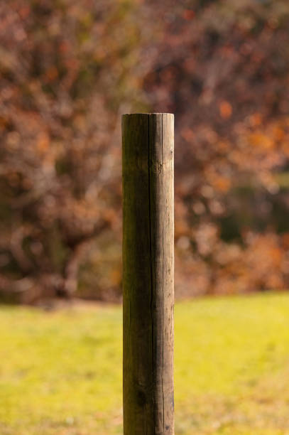 istock Part of a wooden post 1328645544