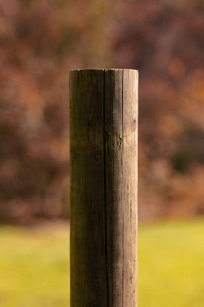 istock Part of a wooden post 1328645547