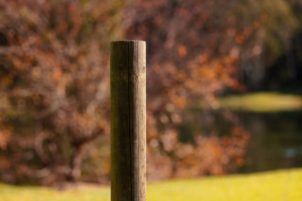 istock Part of a wooden post 1328645554