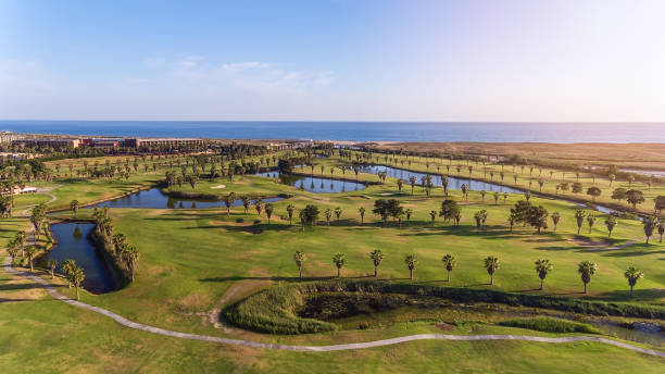 grüne golfplätze am meer. salgados strand. portugal, albufeira. luftaufnahme und hohe bäume, sonniger tag - golf landscape golf course tree stock-fotos und bilder