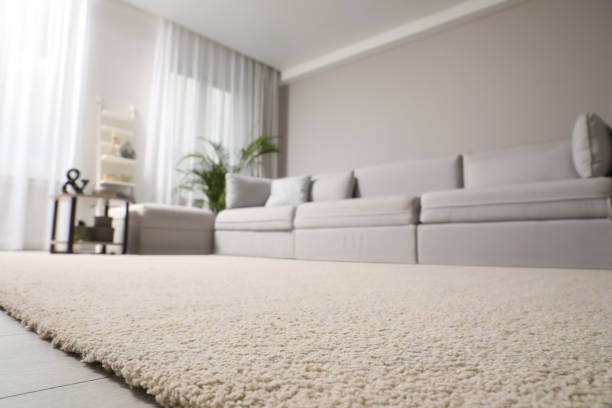 living room interior with stylish furniture, focus on soft carpet - 舒服 圖片 個照片及圖片檔