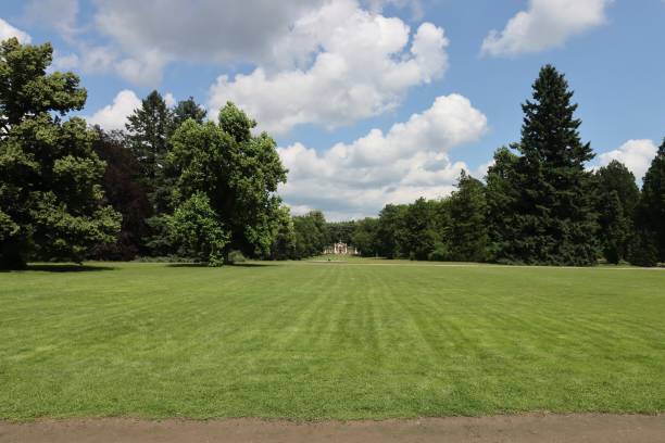 istock Nice sunny park with big trees and gravel path 1328647049