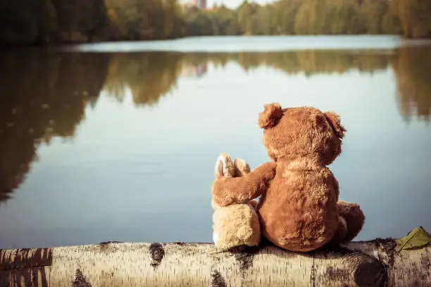 Photo of Teddy bear hugs toy bunny on fallen birch tree near river