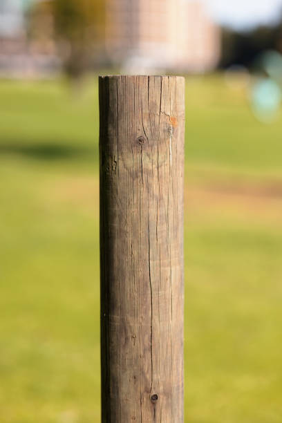 istock Part of a wooden post 1328649507