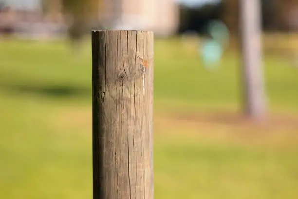 Photo of Part of a wooden post