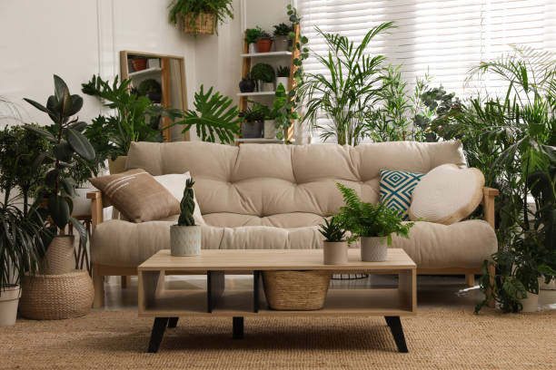 istock Stylish room interior with comfortable sofa and beautiful potted plants. Lounge zone 1328649871