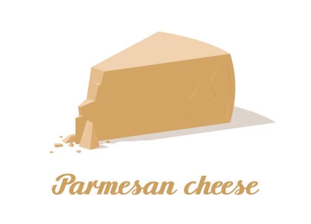 ilustrações, clipart, desenhos animados e ícones de queijo parmesão. queijo realista no fundo branco. ilustração vetorial - cheese portion backgrounds organic
