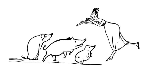 junge frau, die vor einem publikum von schweinen flöte spielt - verrückte dame mit schwein stock-grafiken, -clipart, -cartoons und -symbole