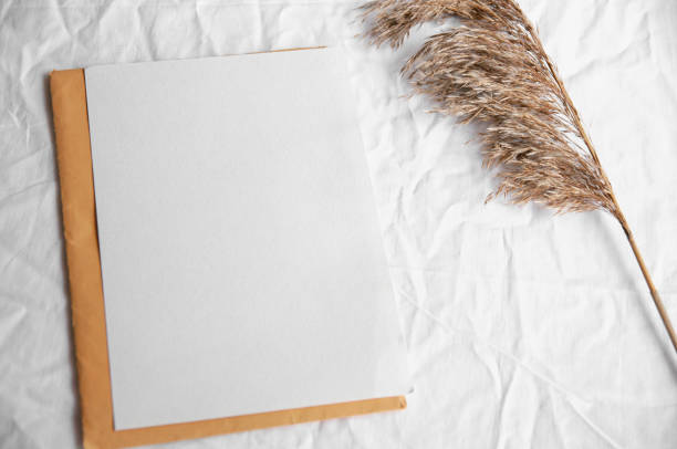 istock Empty white card with envelope, pampas grass. Simple minimal flat lay on white textile with white blank and letter yellow color 1328657746