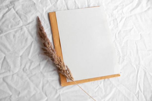istock Empty white card with envelope, pampas grass. Simple minimal flat lay on white textile with white blank and letter yellow color 1328657747