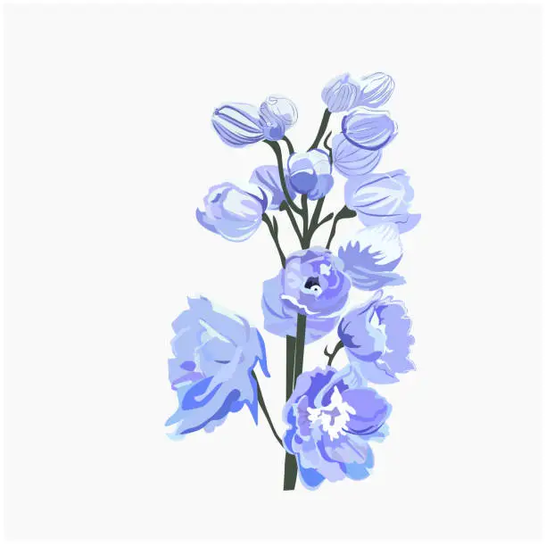 Vector illustration of Vector realistic illustration of a delphinium flower branch.