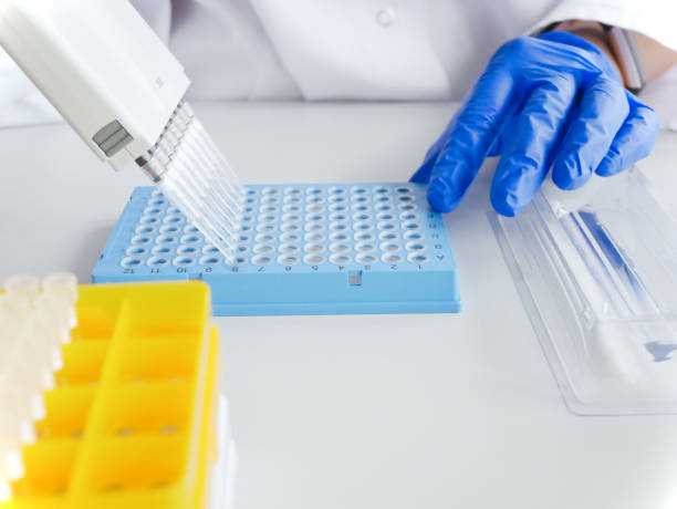 istock hands of scientist working with multichannel pipette and multi well plates. research technician with multipipette in genetic laboratory. genetic and cancer screening, medical technology and therapy. 1328662301