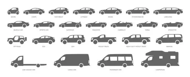 Vector illustration of Car body types. Different vehicles. Vector illustration