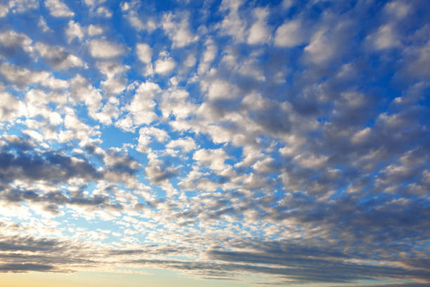 Similar white clouds covered the sky . Altocumulus in the morning