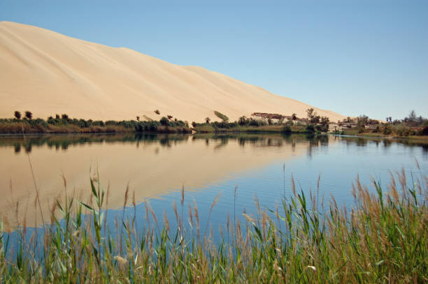 View across the landmark Gaberoun Oasis in the middle of the Ubari Sand Sea in the Sahara Desert, Libya.