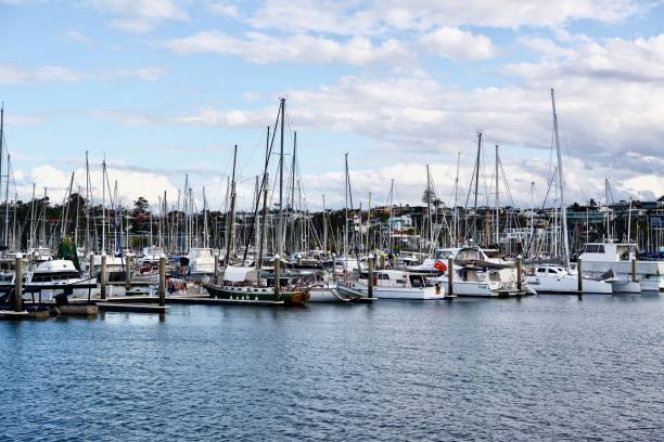 istock Manly Boat Harbour, Brisbane, Australia 1328670597