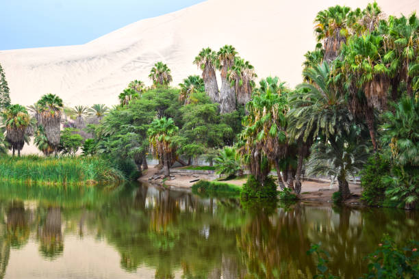 View of Huacachina an oasis in the Peruvian desert and very popular tourist attraction  near the city of Ica in central Peru