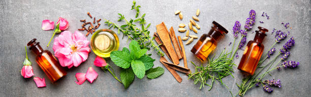 Bottles of essential oil with rosemary, thyme, cinnamon sticks, cardamom, mint, lavender, rose petals and buds Bottles of essential oil with rosemary, thyme, cinnamon sticks, cardamom, mint, lavender, rose petals and buds on a stone background herb stock pictures, royalty-free photos & images