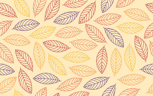 бесшовные осенние осенние листья фон - foliate pattern stock illustrations