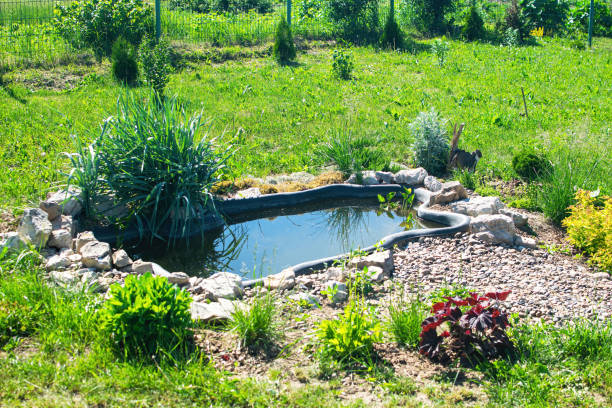 istock Small pond in the garden as landscaping design element. 1328680312