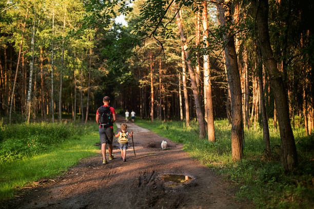 ребенок гуляет с папой по маленькой лесной тропинке с братьями и сестрами и собакой, играет в лесу летним днем - dog walking child little boys стоковые фото и изображения