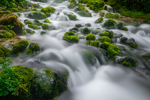 long exposure shot of river with small cascades  and wet moss on stones deep in the forest