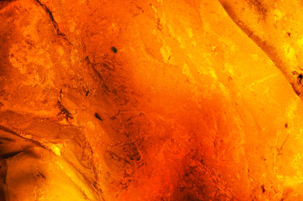 Amber macrophotography abstract background dark black inclusion, colorful yellow orange and red. unpolished specimen bedrock stock pictures, royalty-free photos & images
