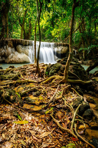 parc national de khuean srinagarindra, cascades huay mae khamin, à kanchanaburi, thaïlande - national park kanchanaburi province thailand waterfall photos et images de collection