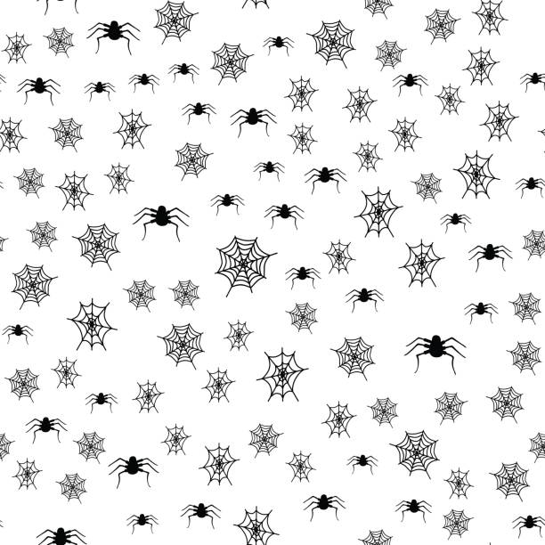 illustrations, cliparts, dessins animés et icônes de toile d’araignée. motif vectoriel noir et blanc pour halloween - mesh web spider