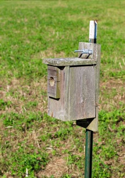 istock Old Box Wooden Birdhouse 1328697687