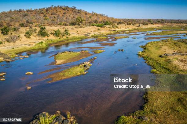 Olifant River Scenery In Kruger National Park South Africa Stock Photo - Download Image Now
