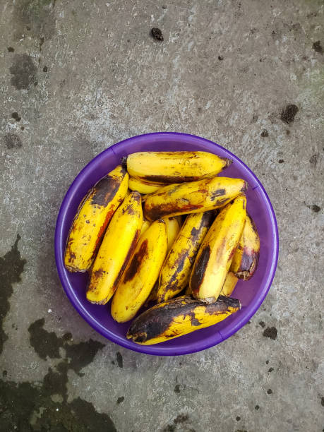 istock Uli bananas are the basic ingredients for snacks such as fried bananas, squashed bananas and others 1328699360