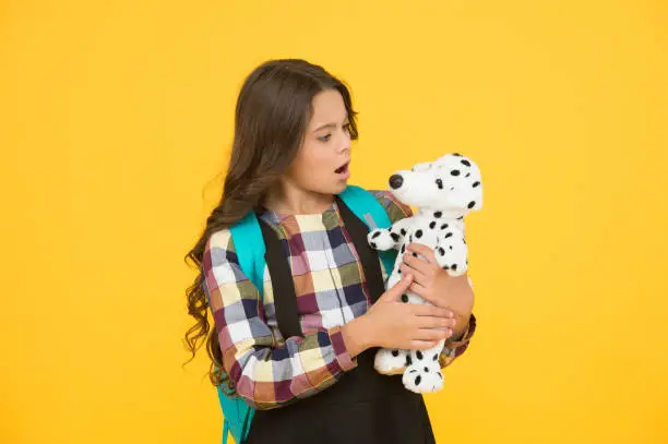 Photo of Playing and learning. Small child role playing with soft dog toy. Little teacher at playing school. Child development. Preschool and socialization. Playschool. Early childhood education