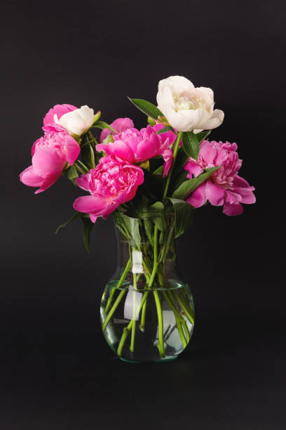 istock Bouquet of pink and white peonies 1328702659