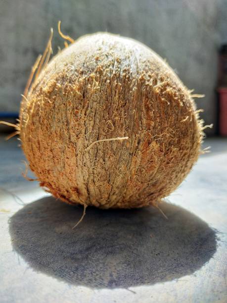 istock Coconut Close Up shot form frog angle 1328703882
