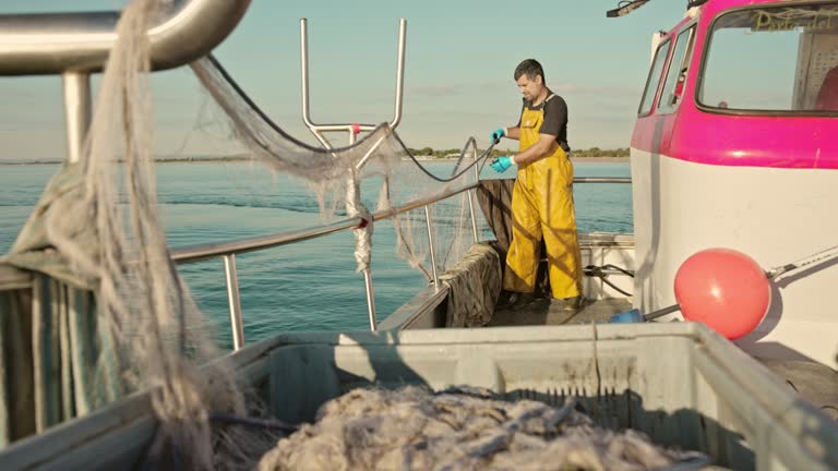 Fisherman Lowering Trawl Net into Water