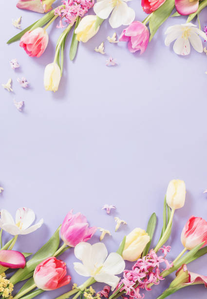 istock multicolored spring flowers on  purple background 1328704274