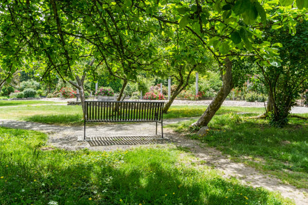 istock Seatac Bench And Garden 1328704502