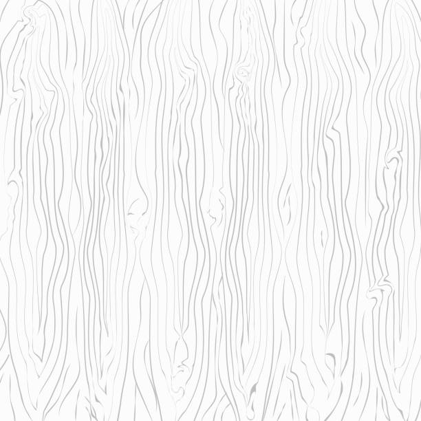 Wood texture. Wood white background vector Wood texture. Wood white background vector oak wood grain stock illustrations