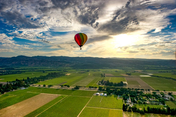 loty balonem nad doliną napa, kalifornia - hot air balloon california napa napa valley zdjęcia i obrazy z banku zdjęć