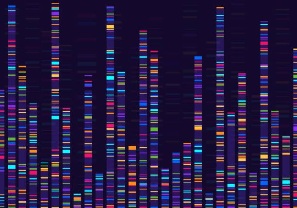 ilustraciones, imágenes clip art, dibujos animados e iconos de stock de visualización de datos genómicos. mapeo de genes, secuenciación de adn, código de barras del genoma, análisis de mapas de marcadores genéticos concepto de vector infográfico - adn