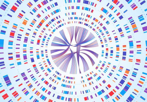 게놈 인포그래픽. dna 서열 시각화, 유전자 매핑, 유전자 바코딩. 추상 염색체 맵 다이어그램, 유전학 분석 벡터 개념 - abstract dna cell multi colored stock illustrations