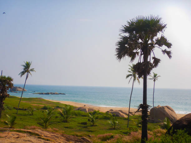 istock Beautiful beach with coconut trees and palm-tree 1328710002