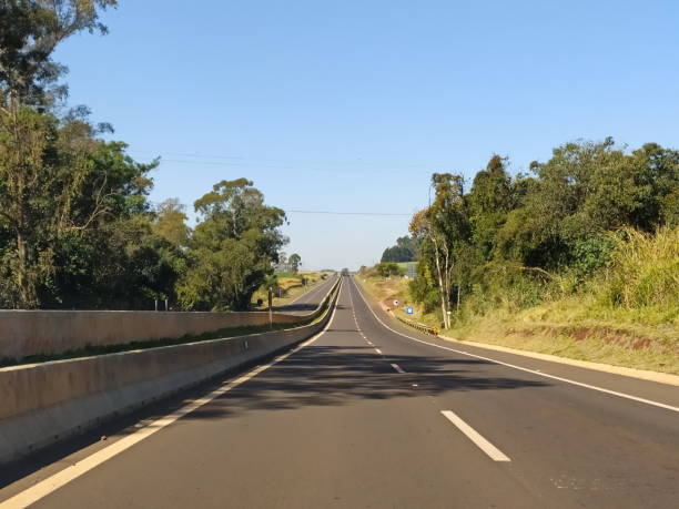 istock rural landscape of Brazil 1328711356