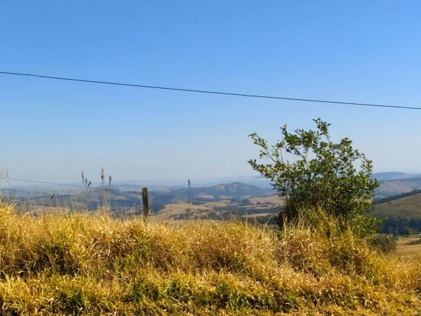 istock rural landscape of Brazil 1328711406