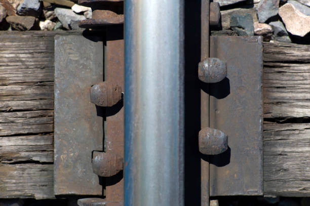 view looking down on a single railroad track rail and tie plate - railroad spikes imagens e fotografias de stock