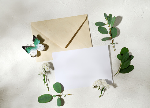 Beautiful arrangement of empty card, envelope, butterfly, leaves and flowers